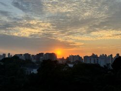 Tanglin Halt Road (D3), Condominium #482746851